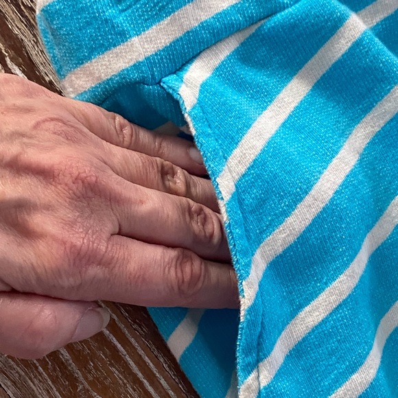 BOGO Fresh Produce Avery turquoise striped skirt NWTS L - Picture 8 of 10